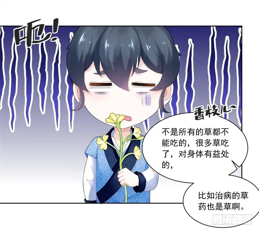 《农女殊色》第74回 酸浆草 第20页