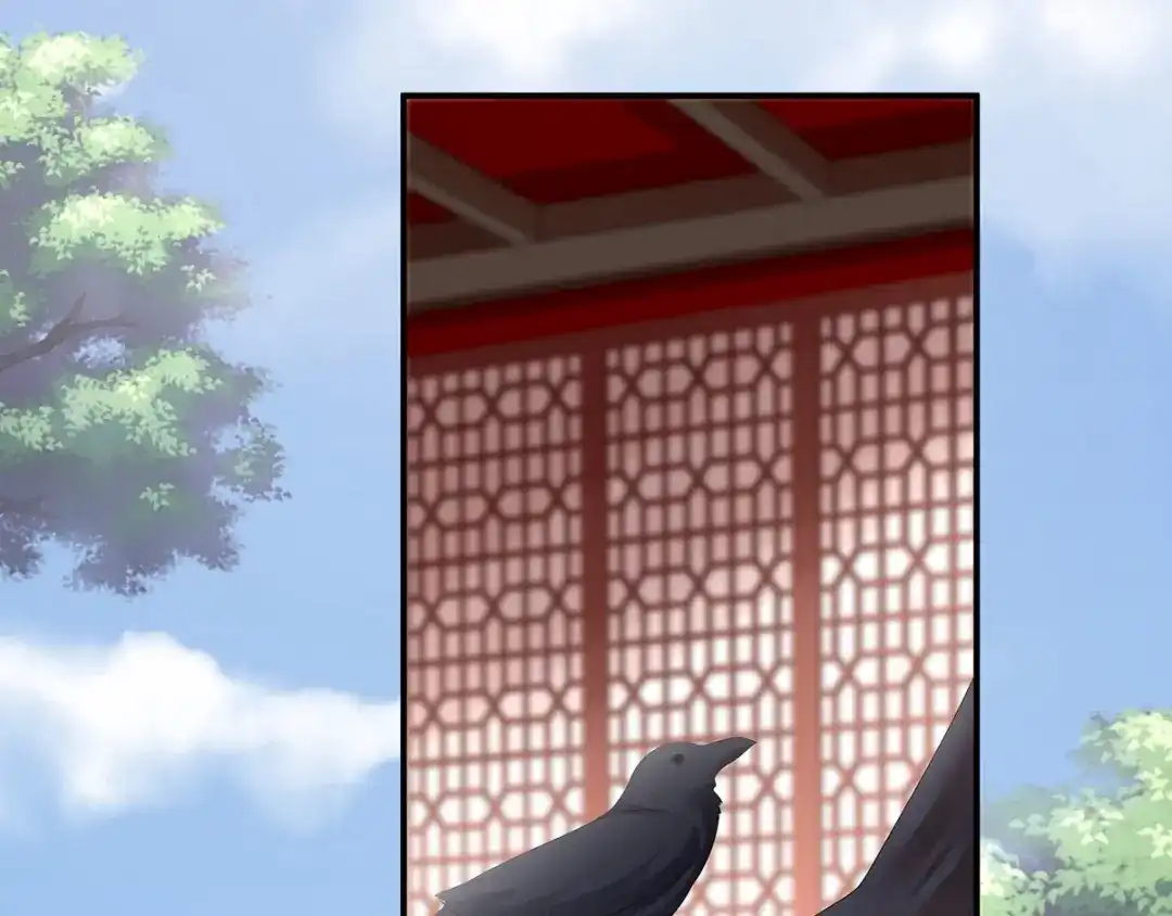 《女帝多蓝颜》第149话 一刀两断 第64页