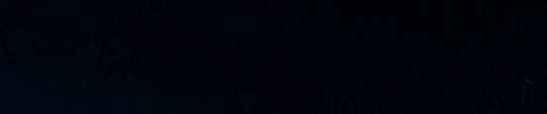 《女帝多蓝颜》第206话 年轻的身体 第68页