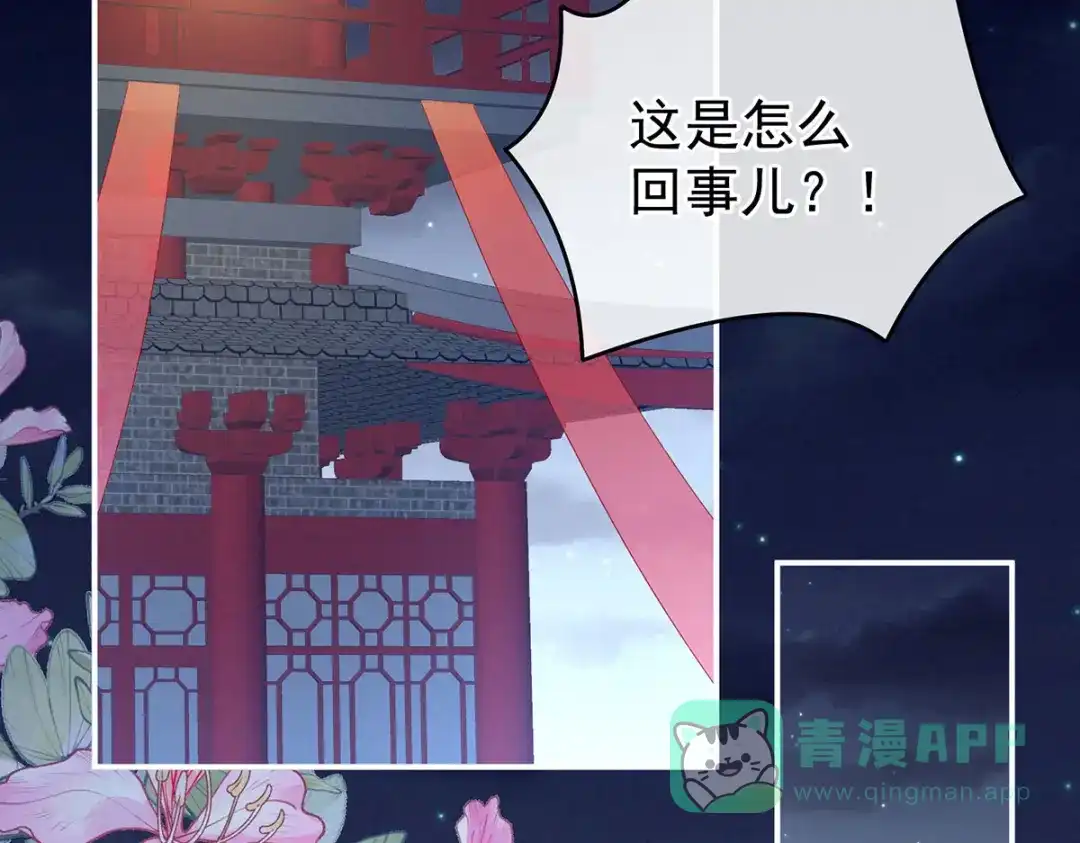 《女帝多蓝颜》第227话 奇怪的CP增加了 第6页