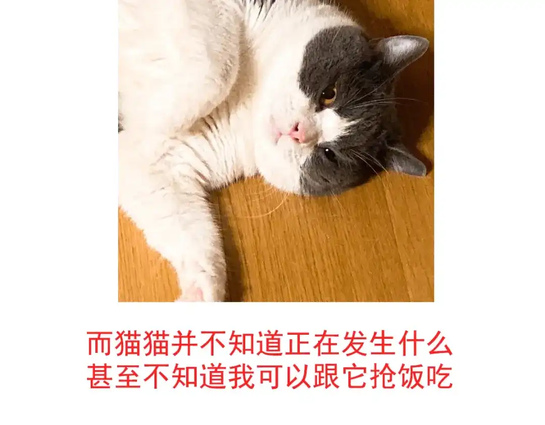 《女帝多蓝颜》唠嗑+小番外 第9页