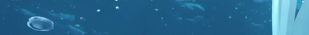 《女帝多蓝颜》第254话 点燃的欲望 第98页
