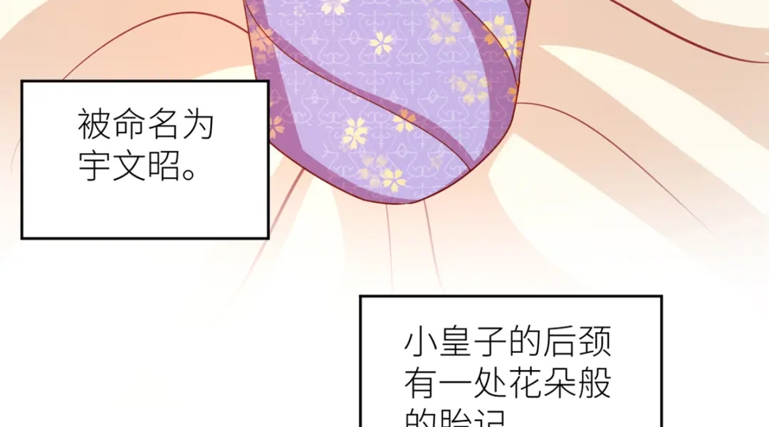 《女帝多蓝颜》番外 诞生之时 第44页