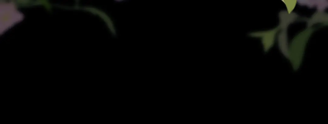 《女帝多蓝颜》第391话 番外5 小蝴蝶生辰 第117页