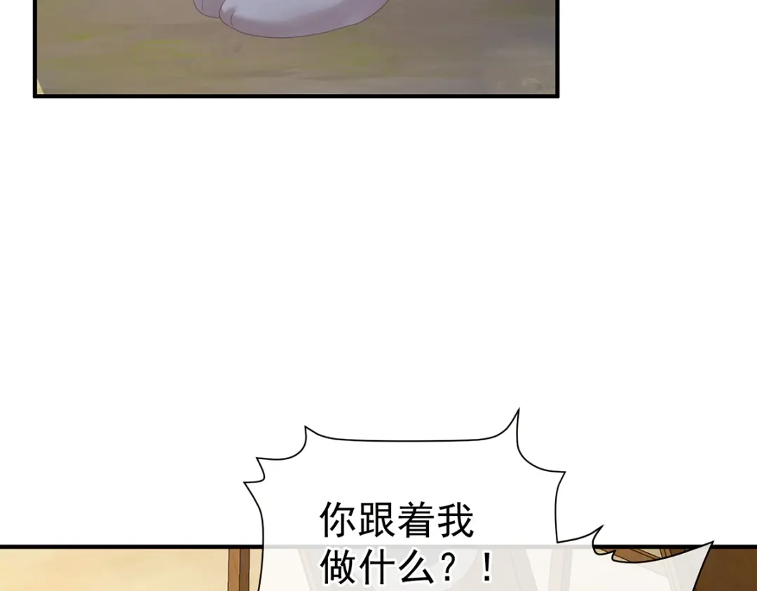 《女帝多蓝颜》第二季66 特别的参赛选手 第67页