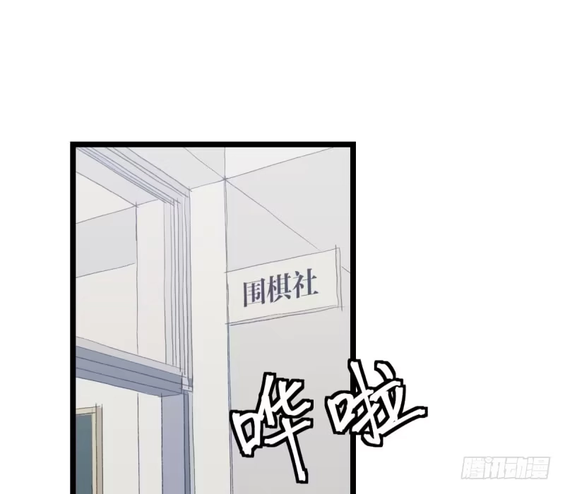 《女九段》喜欢围棋的资格 第2页