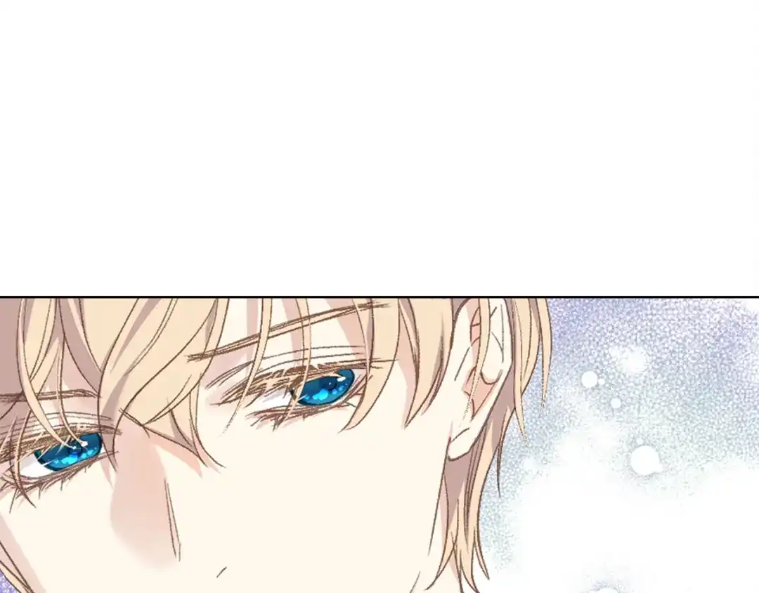 《女骑士的爱慕者们》第101话 继承爵位 第29页