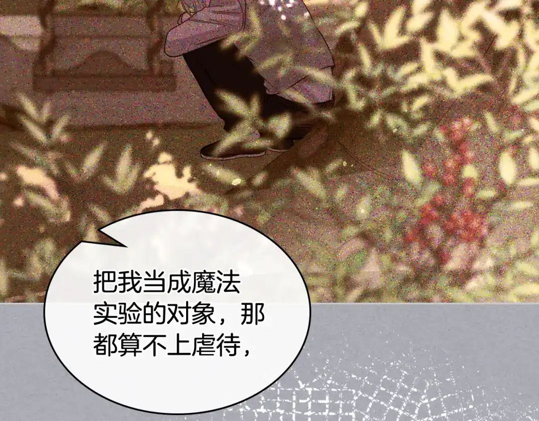 《女骑士的爱慕者们》第102话 武力镇压 第17页