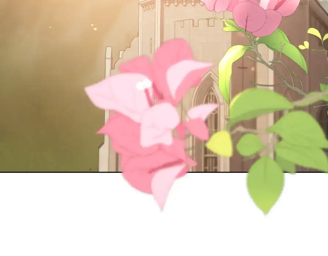 《女骑士的爱慕者们》第105话 请你成为我的继承人 第114页