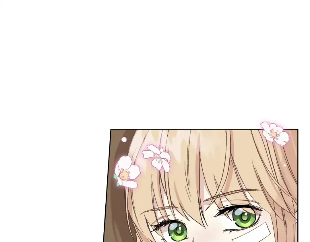 《女骑士的爱慕者们》第11话 久别重逢 第77页