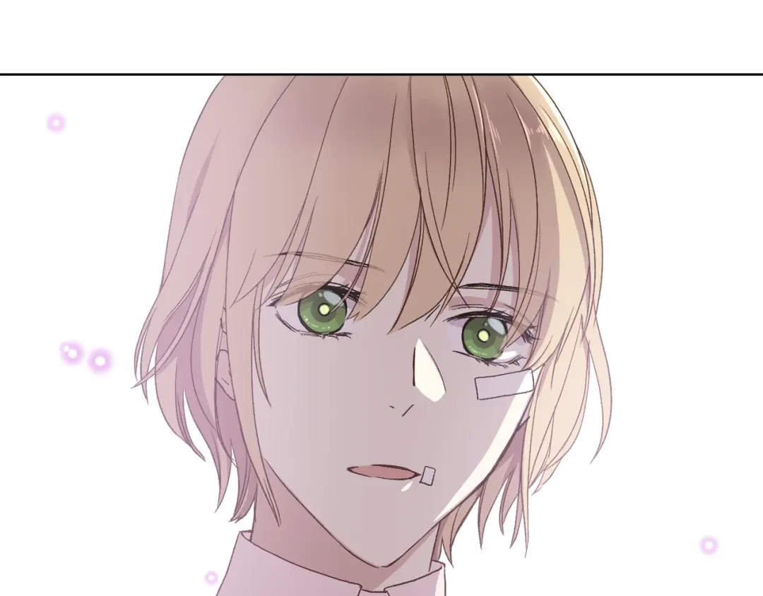 《女骑士的爱慕者们》第11话 久别重逢 第13页