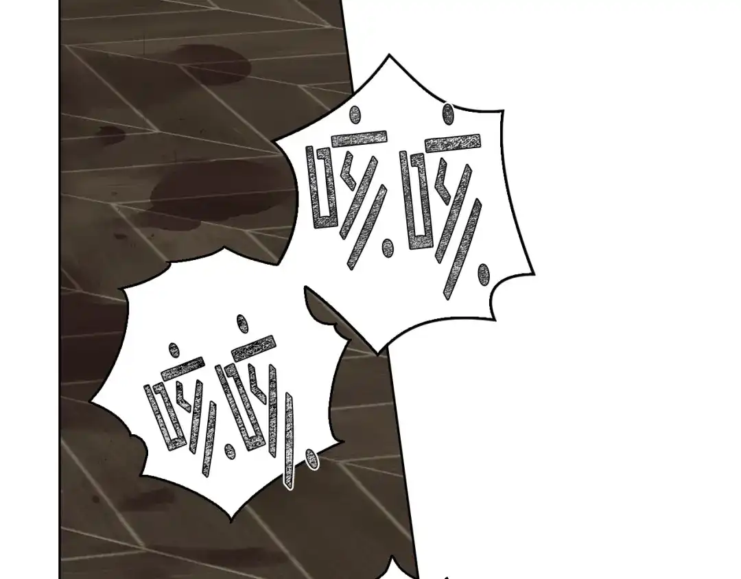 《女骑士的爱慕者们》第11话 久别重逢 第35页