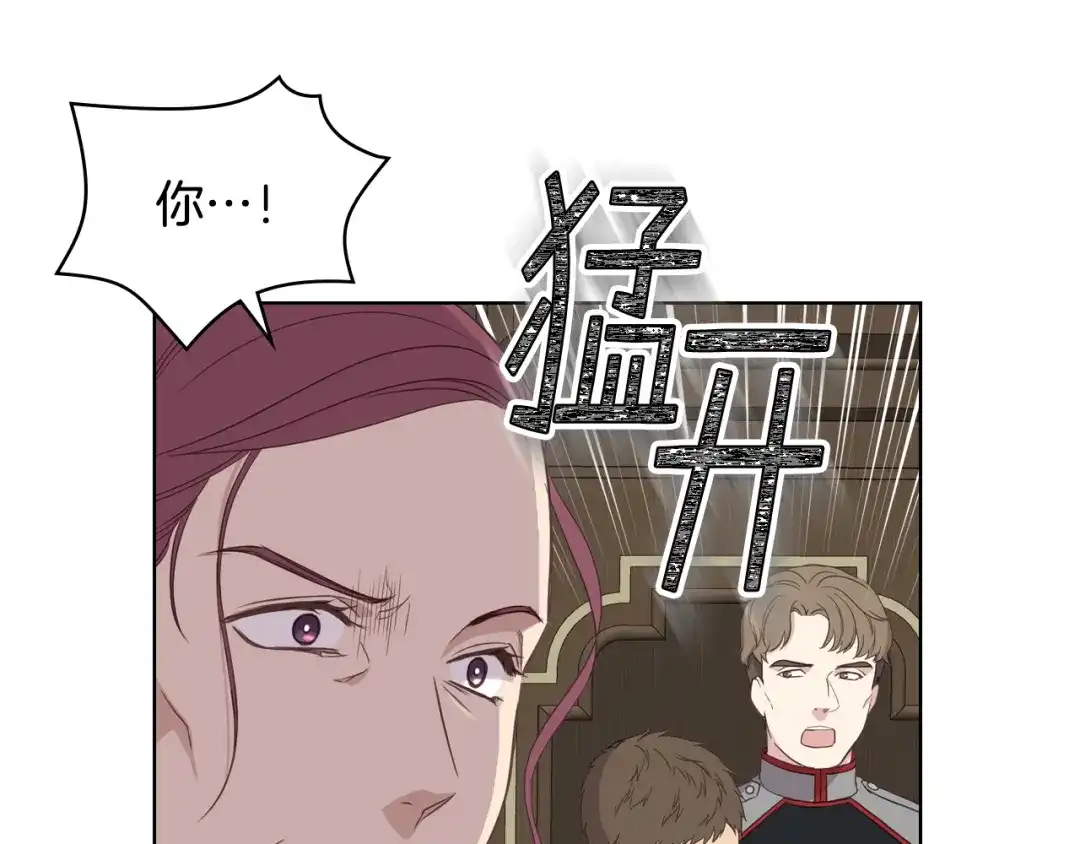 《女骑士的爱慕者们》第14话 警告 第112页