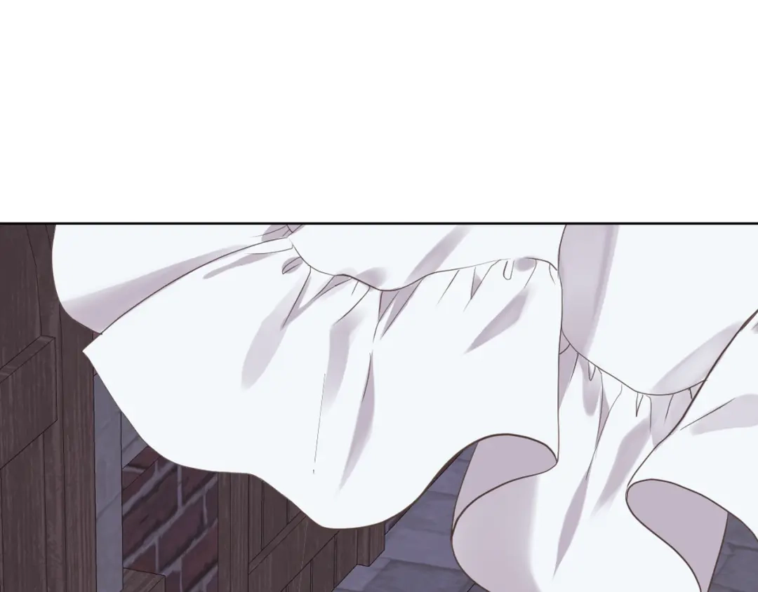 《女骑士的爱慕者们》第26话 黑骑士 第104页