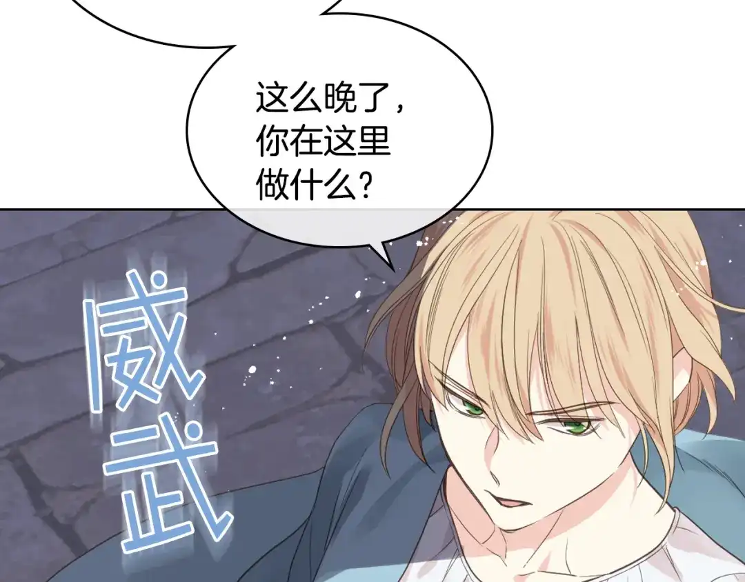 《女骑士的爱慕者们》第26话 黑骑士 第88页