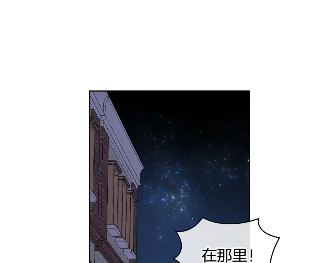 《女骑士的爱慕者们》第26话 黑骑士 第117页