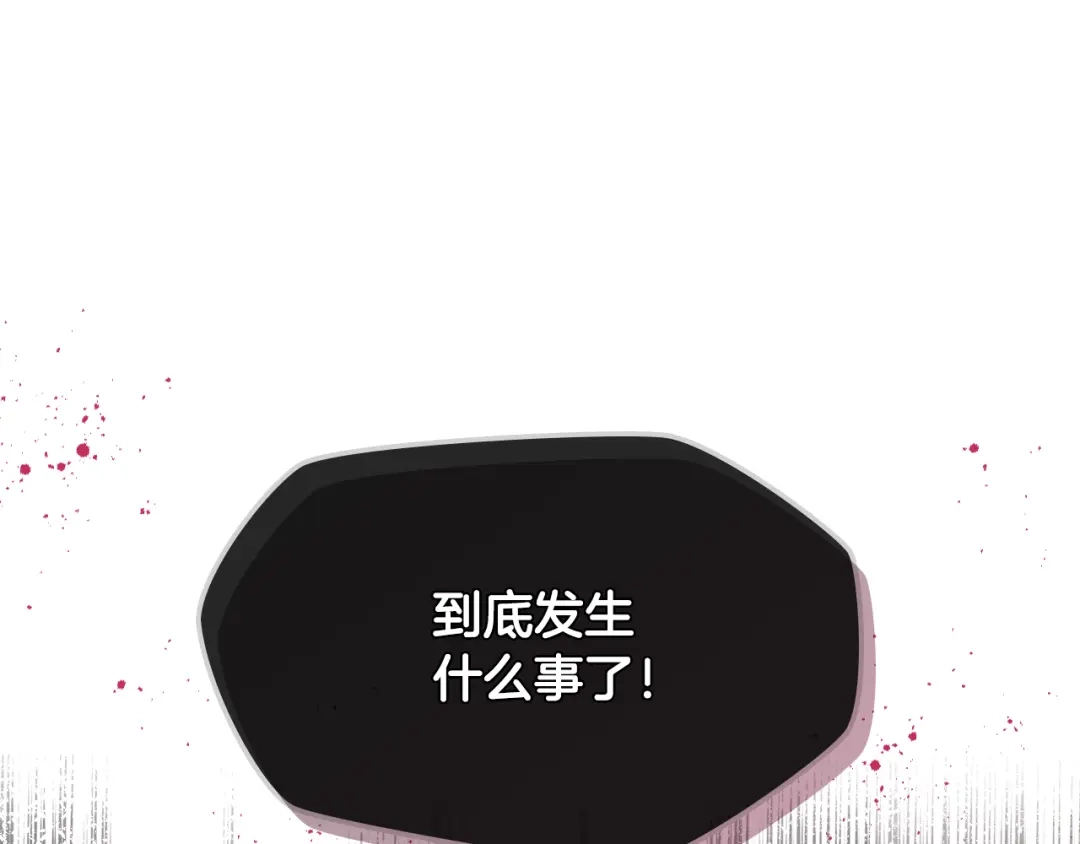 《女骑士的爱慕者们》第38话 回忆过去 第119页