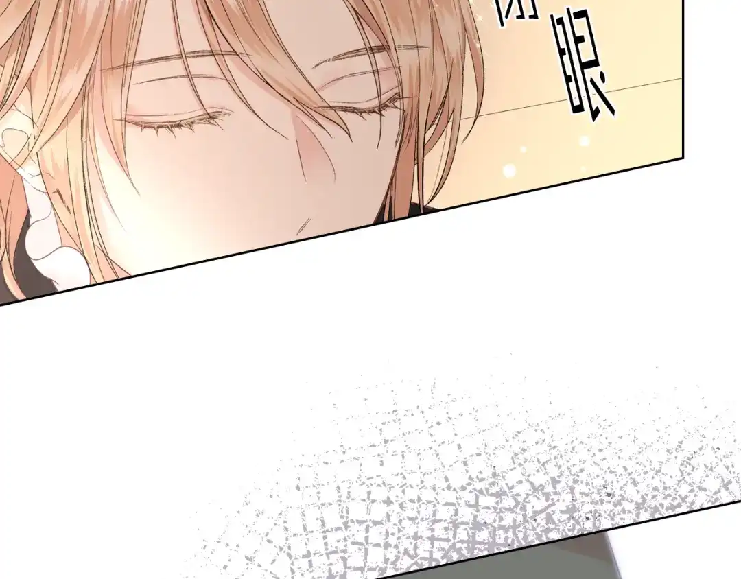 《女骑士的爱慕者们》第45话 神秘来客 第44页