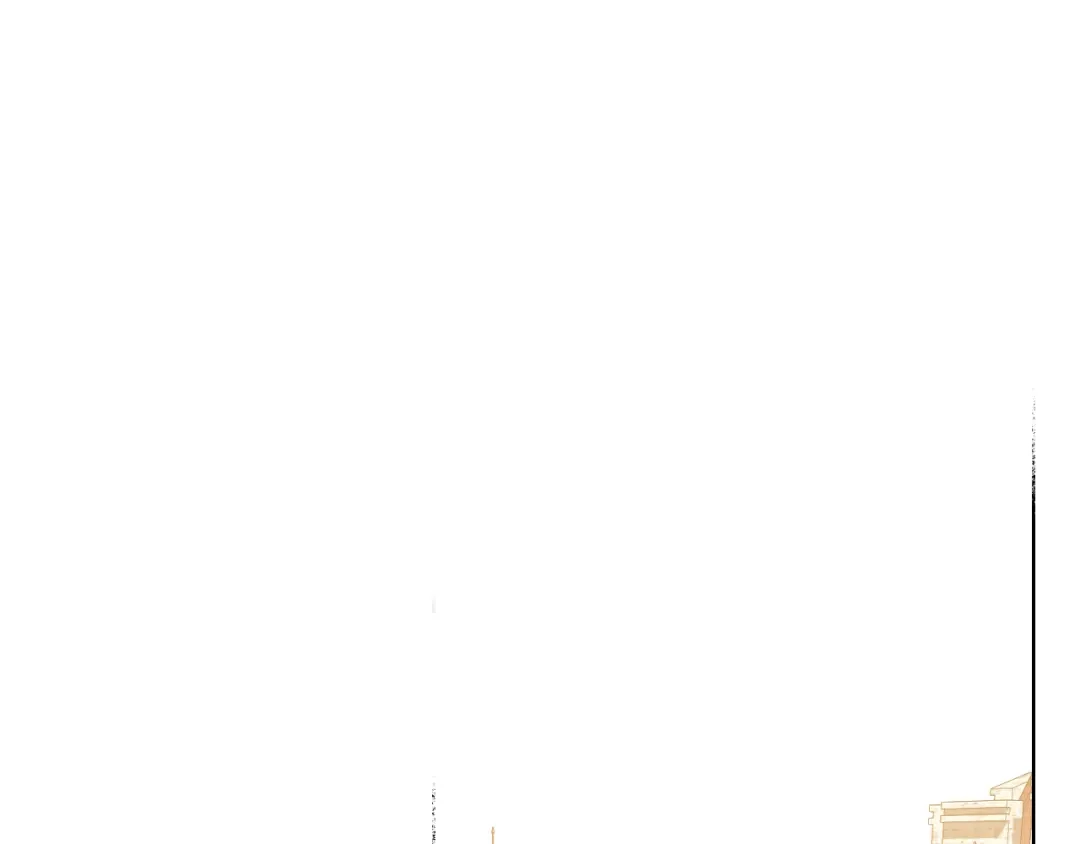 《女骑士的爱慕者们》第45话 神秘来客 第48页