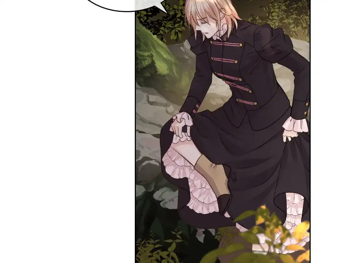 《女骑士的爱慕者们》第47话 单打独斗 第5页