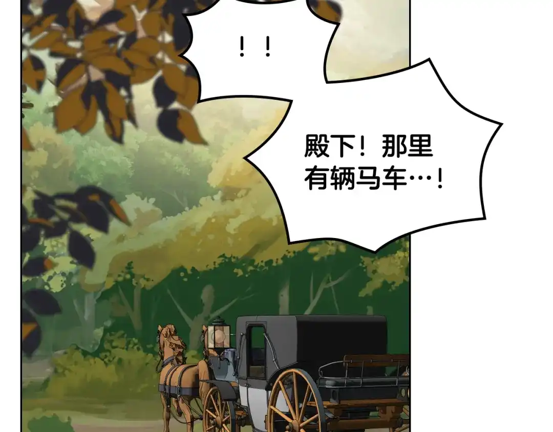 《女骑士的爱慕者们》第47话 单打独斗 第29页