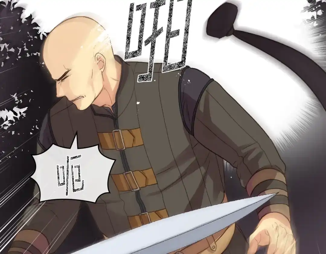 《女骑士的爱慕者们》第47话 单打独斗 第83页