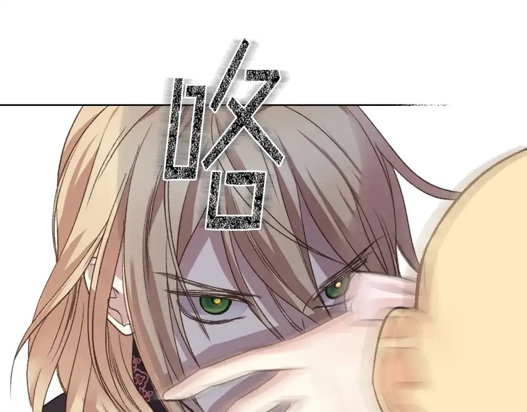 《女骑士的爱慕者们》第47话 单打独斗 第94页