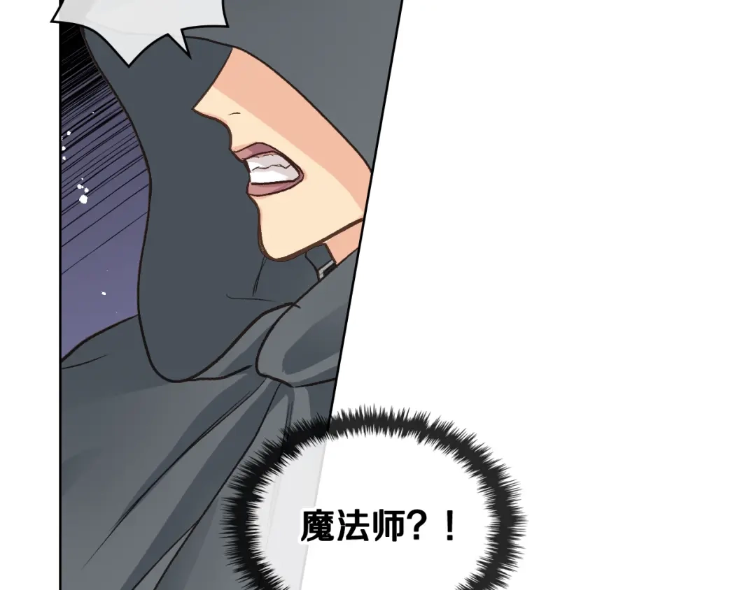《女骑士的爱慕者们》第47话 单打独斗 第54页