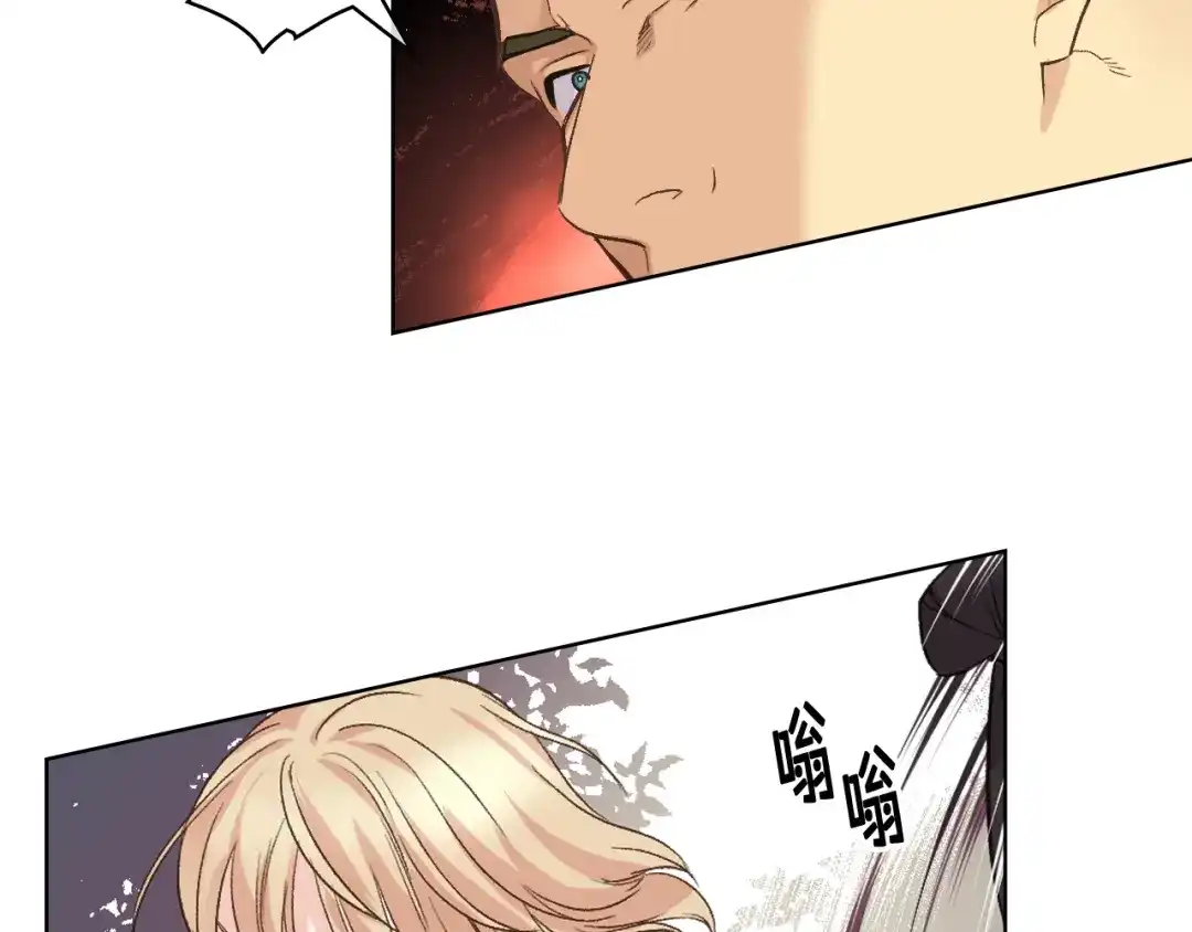 《女骑士的爱慕者们》第47话 单打独斗 第85页