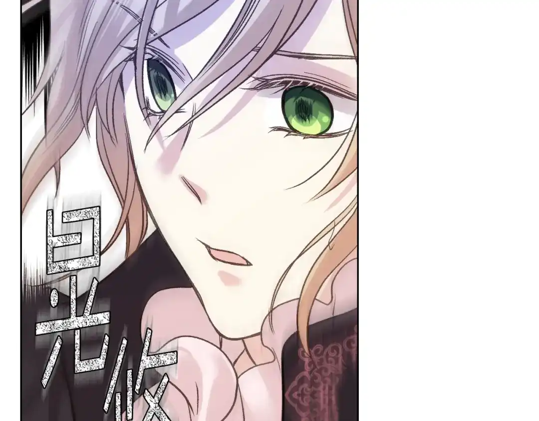 《女骑士的爱慕者们》第48话 殊死搏斗 第101页