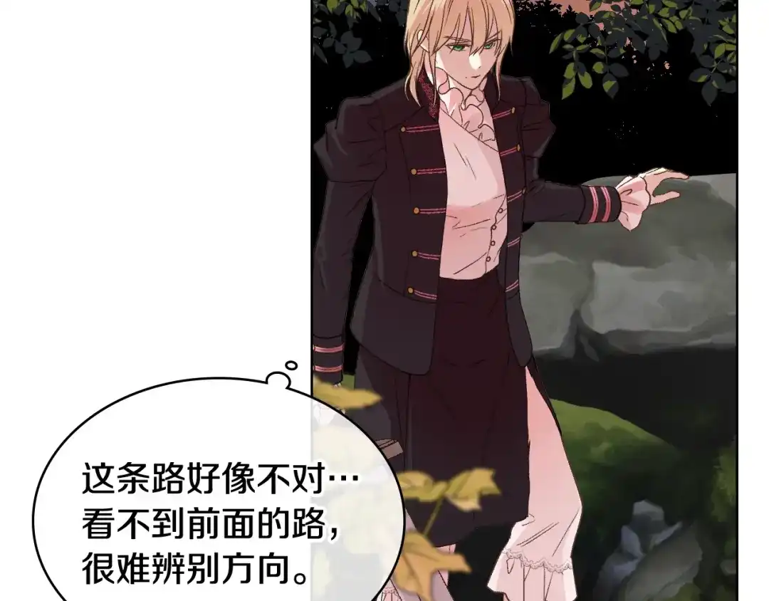 《女骑士的爱慕者们》第48话 殊死搏斗 第18页
