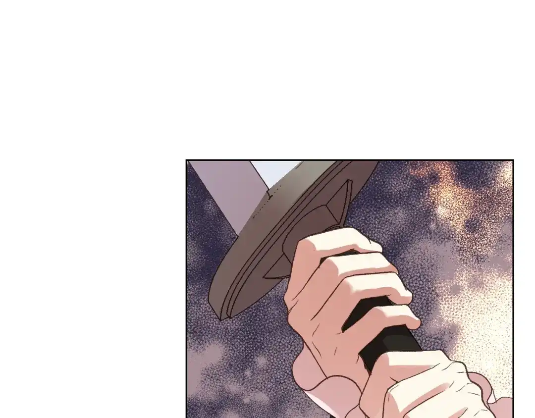 《女骑士的爱慕者们》第48话 殊死搏斗 第40页