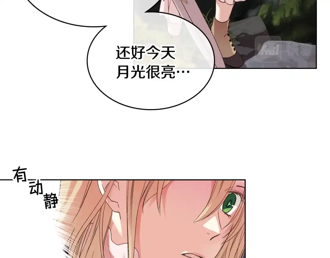 《女骑士的爱慕者们》第48话 殊死搏斗 第19页