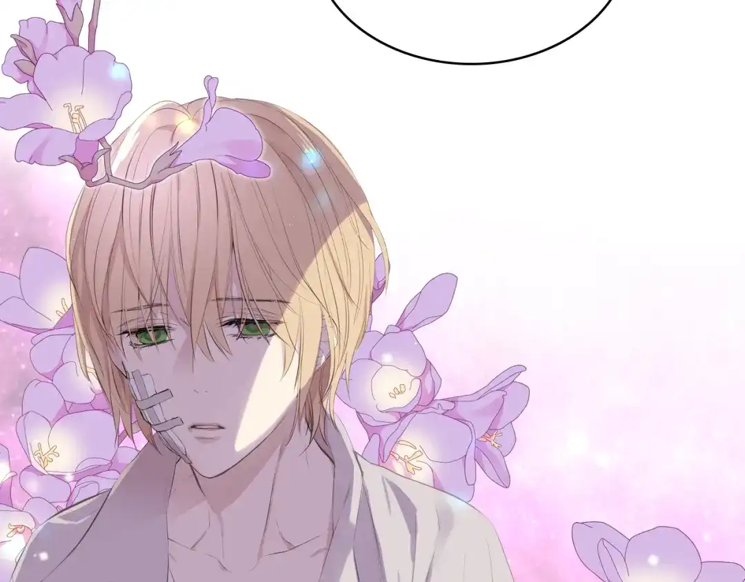 《女骑士的爱慕者们》第4话 弟弟的消息 第6页