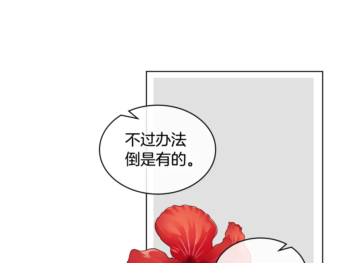 《女骑士的爱慕者们》第60话 十一年前 第33页