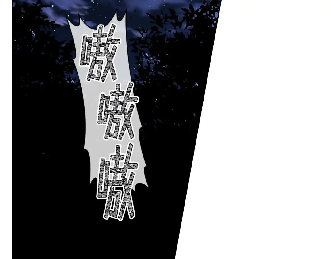 《女骑士的爱慕者们》第61话 夜间巡查 第99页