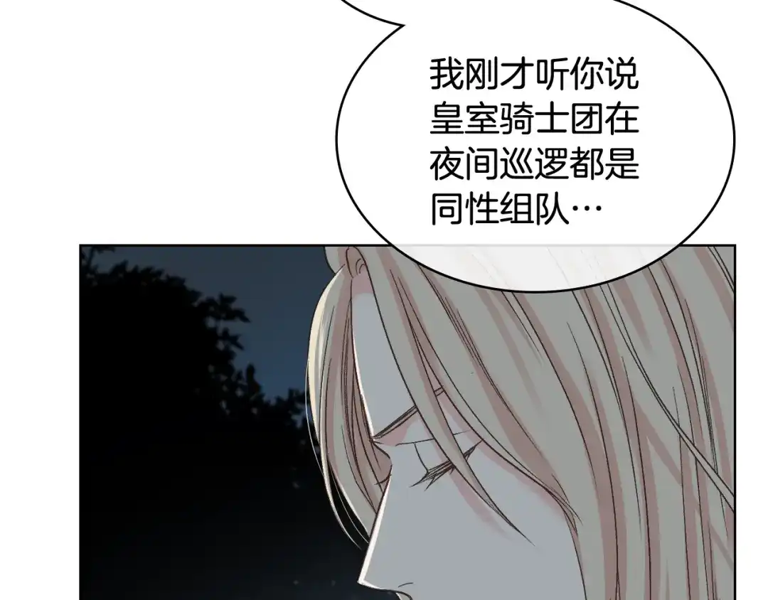《女骑士的爱慕者们》第61话 夜间巡查 第47页