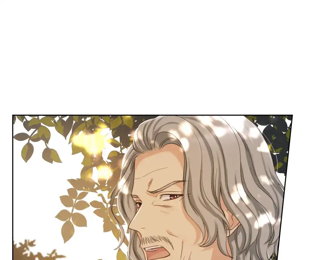 《女骑士的爱慕者们》第63话 魔晶石 第29页