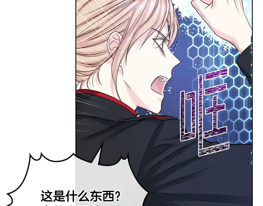 《女骑士的爱慕者们》第67话 母体现身（2） 第41页