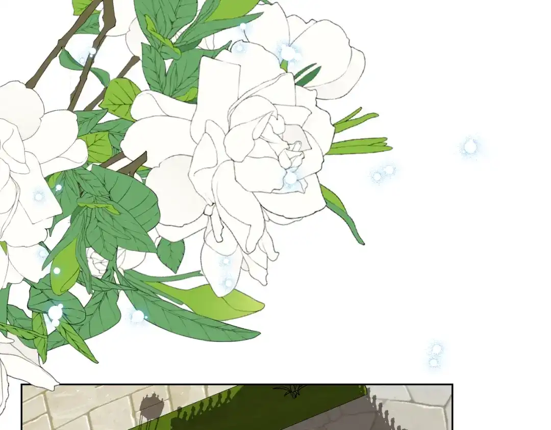 《女骑士的爱慕者们》第71话 神秘客人来访 第1页
