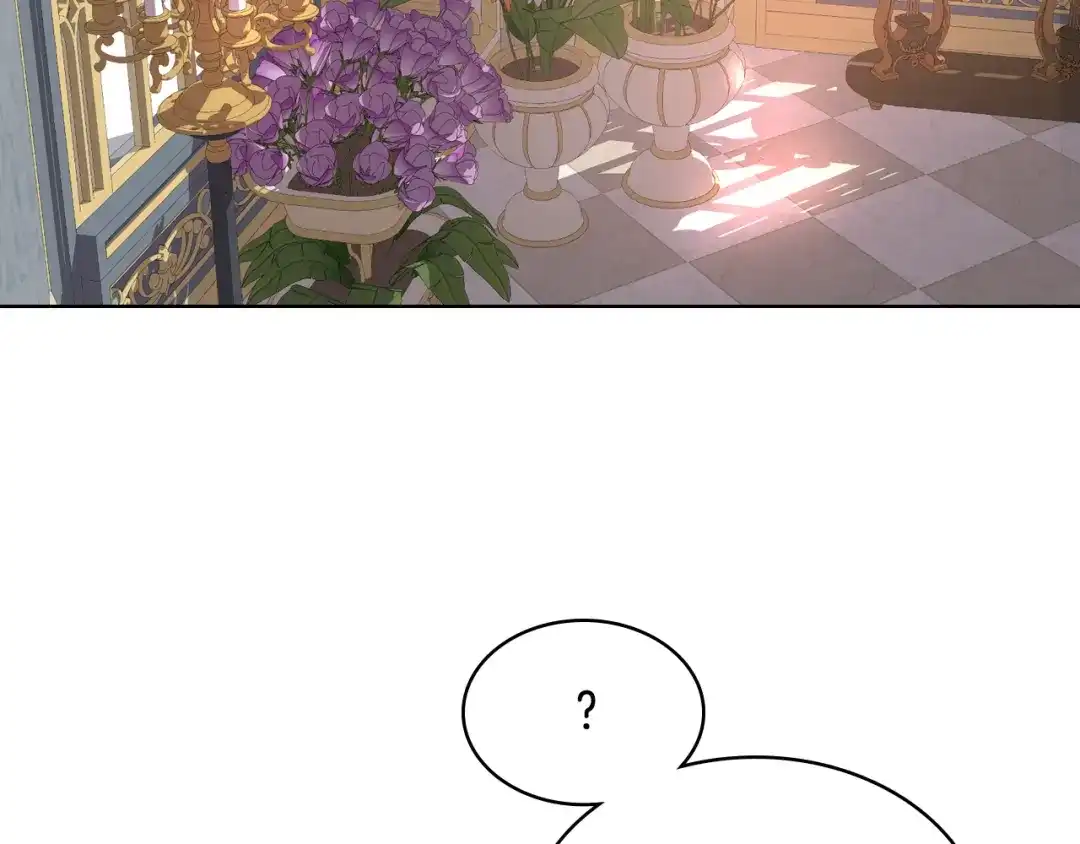 《女骑士的爱慕者们》第71话 神秘客人来访 第74页