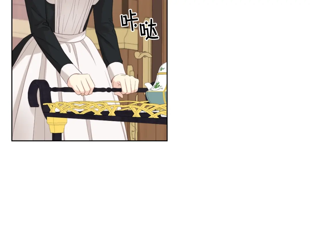 《女骑士的爱慕者们》第71话 神秘客人来访 第117页