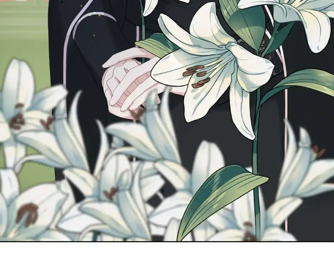 《女骑士的爱慕者们》第77话 云树之思 第37页