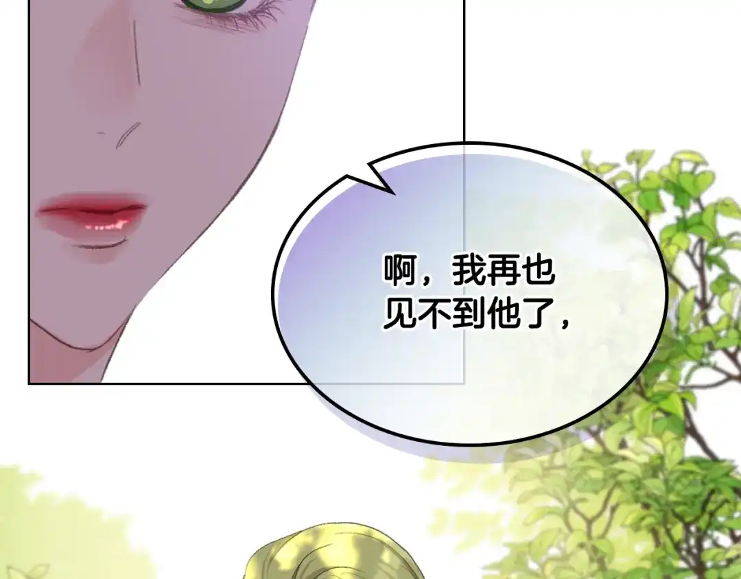 《女骑士的爱慕者们》第77话 云树之思 第14页
