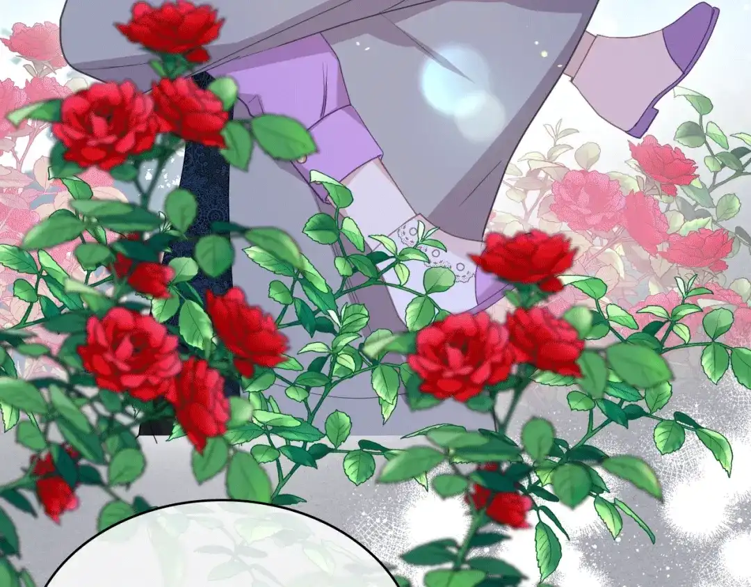 《女骑士的爱慕者们》第77话 云树之思 第20页