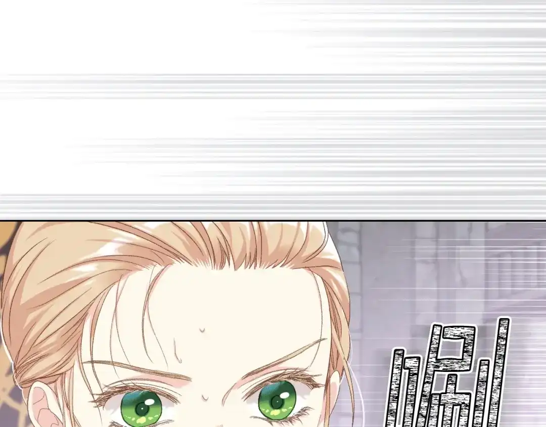 《女骑士的爱慕者们》第82话 我要参加武斗会 第26页