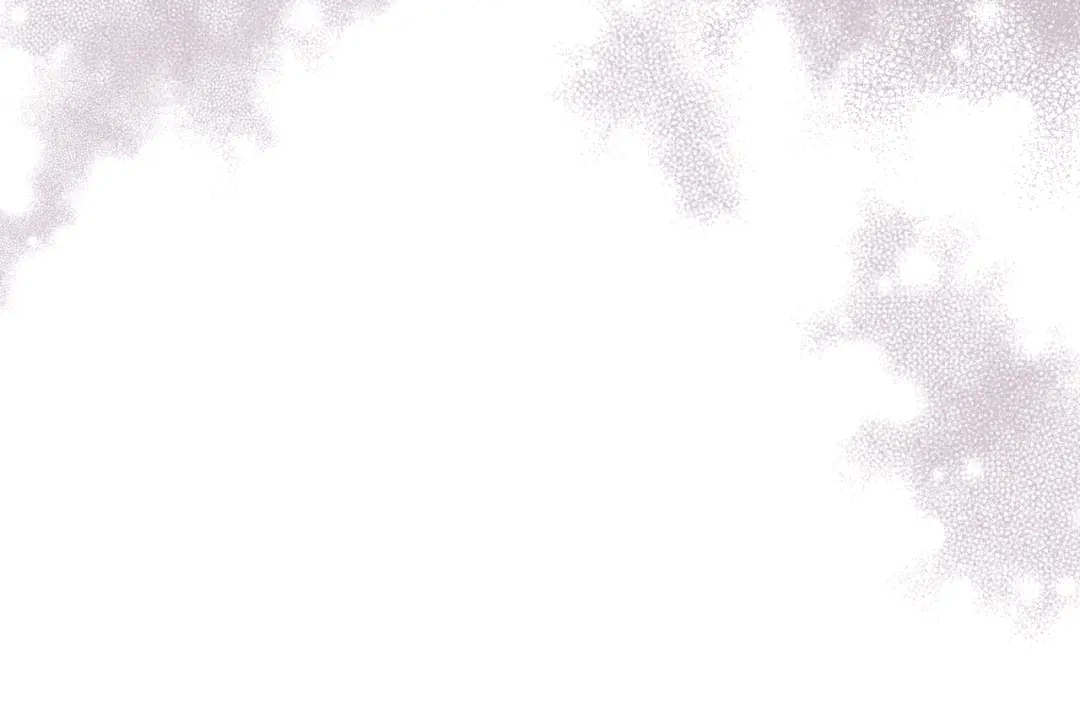 《女骑士的爱慕者们》第84话 恋爱白痴四人帮 第65页