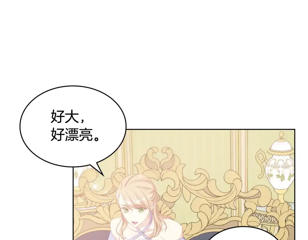 《女骑士的爱慕者们》第86话 礼物送到 第53页