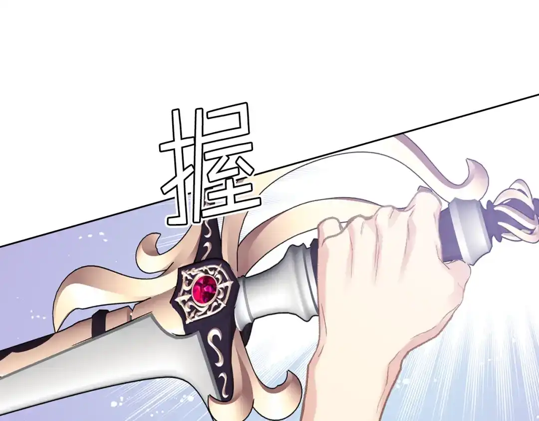 《女骑士的爱慕者们》第三季完结篇 参加武斗会 第47页