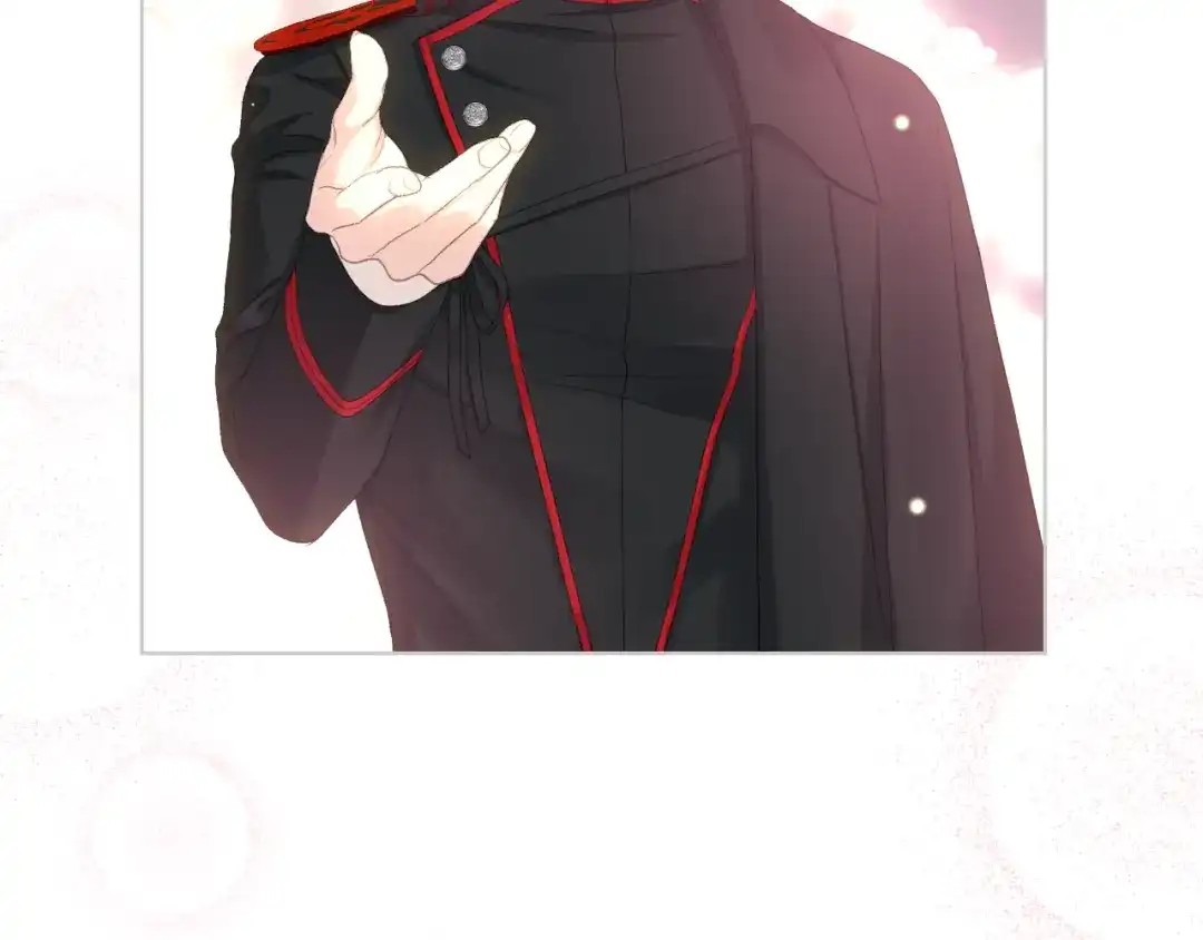《女骑士的爱慕者们》第三季完结篇 参加武斗会 第41页